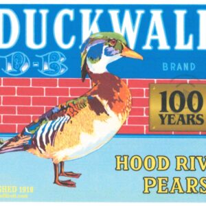 Duckwall Fruit Wireless Charging Mousepad
